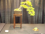 Annual Show 2011 - 7 2011